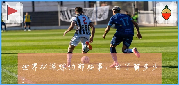 世界杯滚球的那些事，你了解多少？