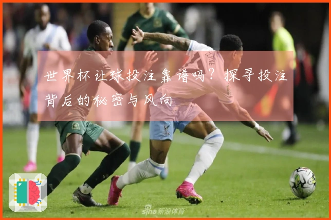 世界杯让球投注靠谱吗？探寻投注背后的秘密与风向