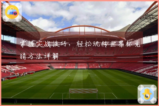 掌握实战技巧，轻松玩转世界杯竞猜方法详解