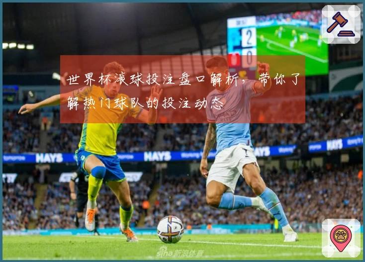 世界杯滚球投注盘口解析，带你了解热门球队的投注动态