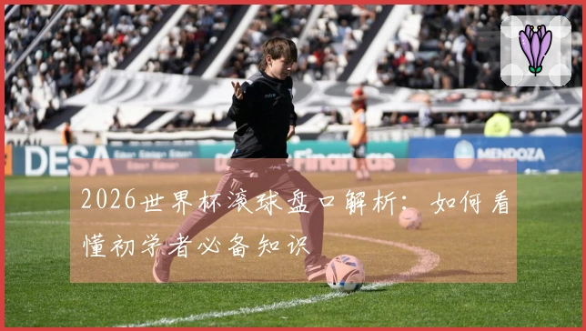 2026世界杯滚球盘口解析：如何看懂初学者必备知识